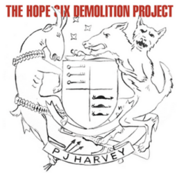 The Hope Six Demolition Project