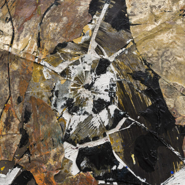 Shards