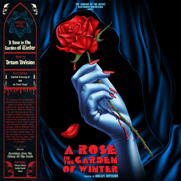 A Rose In The Garden Of Winter