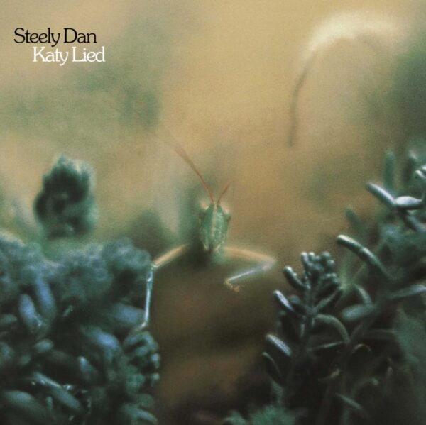 Katy Lied