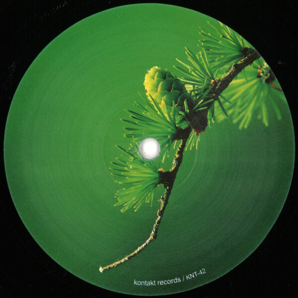 Moonlight Riddims