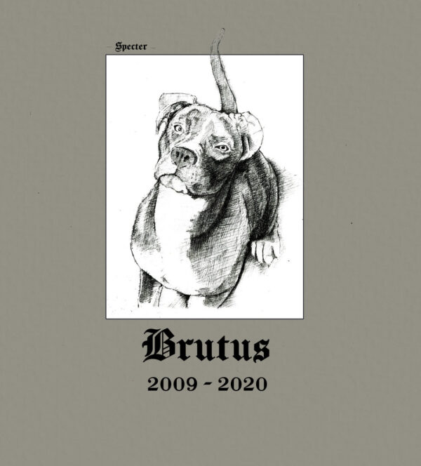 Brutus 2009-2020
