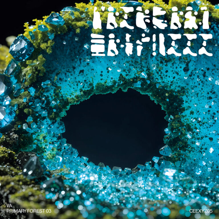 Primary Forest 03