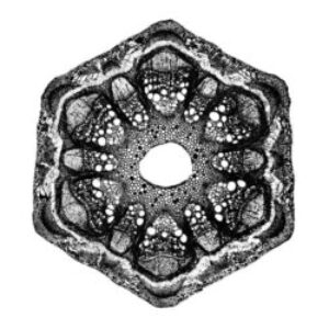 5050580748507-e1608260875900-1.jpg