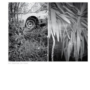 FAITICHE037LP_CU