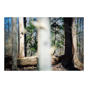 HI001_distribution_preview