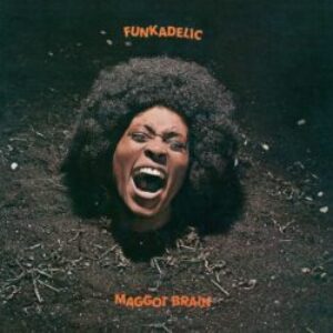 HIQLP2-096-Maggot-Br_700_700-e1651097845510.jpg