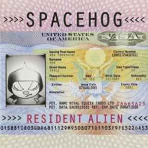 Screenshot-2021-06-29-at-18-56-08-Spacehog-Resident-Alien-2-LP-Set-e1625018235613-1.png