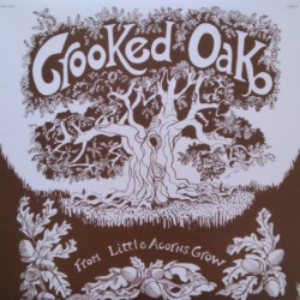 Screenshot-2021-07-29-at-14-10-30-Crooked-Oak-From-Little-Acorns-Grow-e1627593099691-1.png