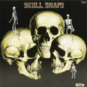 Screenshot-2021-08-12-at-19-18-37-Skull-Snaps-–-Vinyl-LP-e1628821213977-1.png