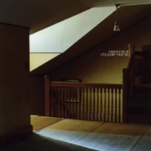 Screenshot-2021-08-29-at-09-42-29-Grizzly-Bear-Yellow-House-15th-Anniversary-Edition-Vinyl-LPx2-e1630255396985.png