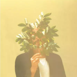 Screenshot-2021-09-25-at-18-58-47-FKJ-French-Kiwi-Juice-French-Kiwi-Juice-Vinyl-LP-vinyl-digital-com-Online-Shop-en-e1632621603712-1.png