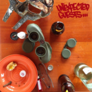 Screenshot-2021-11-23-at-09-58-21-MF-DOOM-Unexpected-Guests-2xLP-e1637690362386.png