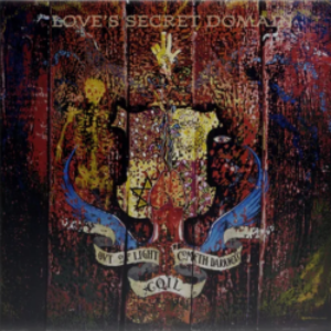 Screenshot-2021-11-23-at-13-06-12-COIL-Loves-Secret-Domain-30th-Anniversary-Edition-1LP-STANDARD-EDITION-Black-e1637701629169-1.png