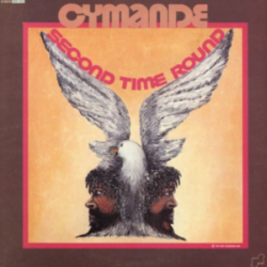 Screenshot-2021-12-14-at-11-42-56-Second-Time-Round-–-Vinyl-LP-e1639511059574.png