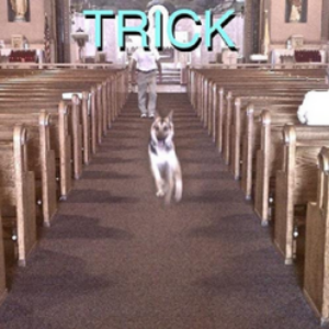 Screenshot-2022-04-07-at-11-14-28-Alex-G-Trick-INDIE-EXCLUSIVE-DELUXE-EDITION-e1649355387206-1.png