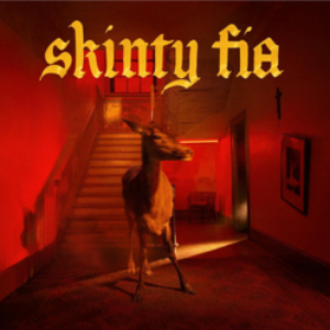 Screenshot-2022-04-19-at-14-09-15-LP-Fontaines-DC-Skinty-Fia-Indie-Opaque-Red-Vinyl-e1650402639795-1.png