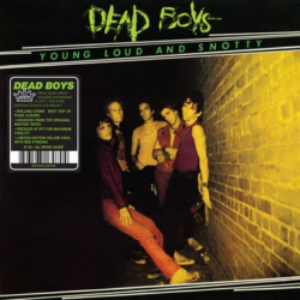 Screenshot-2022-04-21-at-14-43-40-DEAD-BOYS-YOUNG-LOUD-AND-SNOTTY-LP-Yellow-With-Red-Streaks-e1650577511750-1.png