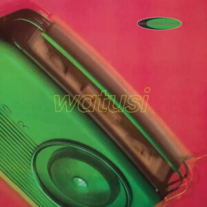 Screenshot-2023-06-19-at-14-03-32-The-Wedding-Present-The-Wedding-Present-Watusi-Vinyl-LP-Sound-of-Vinyl-e1687208675904-1.jpg
