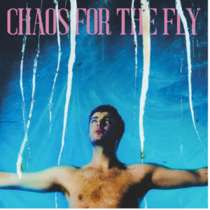 Screenshot-2023-06-23-at-15-43-40-Grian-Chatten-Chaos-for-the-Fly-LP-Opaque-White-Vinyl-e1687560284943-1.png