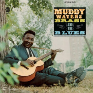 Screenshot-2023-07-14-at-10-29-58-Muddy-Waters-Muddy-Brass-The-Blues-e1689355973790-1.jpg
