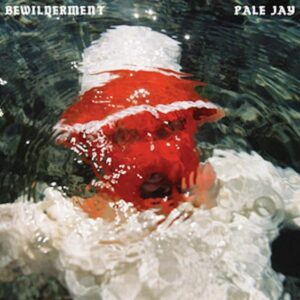 Screenshot-2023-08-15-at-14-31-54-Pale-Jay-Bewilderment-Opaque-Red-LP-1.jpg