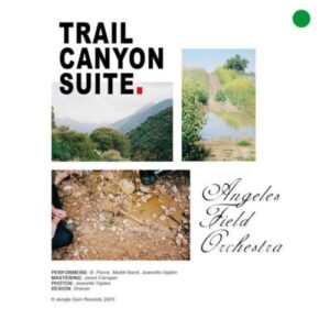 Screenshot-2023-09-11-at-15-05-41-Angeles-Field-Orchestra-–-Trail-Canyon-Suite-Tape-–-Soundohm-e1694470004291-1.jpg