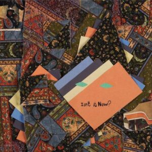Screenshot-2023-09-27-at-11-04-49-Animal-Collective-Isn39-t-It-Now-Limited-Tangerine-Vinyl-2LP-Sound-of-Vinyl-e1695837957910-1.jpg