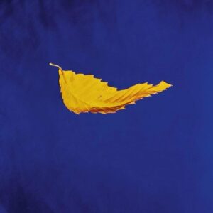Screenshot-2023-11-06-at-11-26-21-New-Order-True-Faith-12-Vinyl-Single-pre-order-2023-11-10-e1699298821270-2.jpg