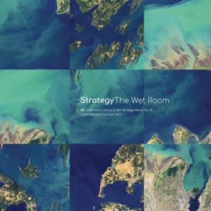 Screenshot 2023-11-20 at 11-29-35 Strategy The Wet Room Midheaven Mailorder