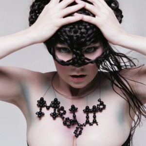 Screenshot 2023-11-21 at 12-39-59 Bjork – Medúlla (New Vinyl)
