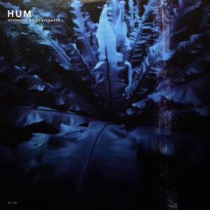 Screenshot 2023-12-14 at 10-00-44 Downward Is Heavenward - Polyvinyl Records - Shop Vinyl Merch Music and More