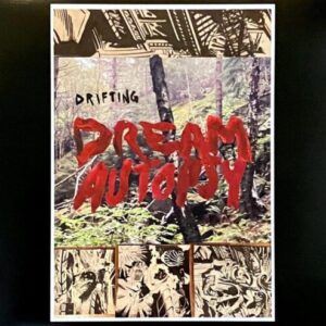 Screenshot 2023-12-20 at 12-31-10 Drifting - Dream Autopsy