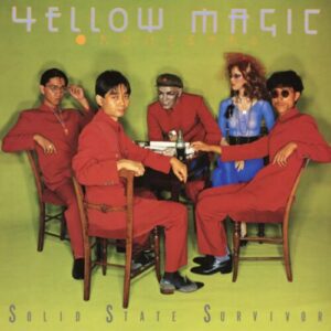 Screenshot 2024-02-15 at 09-14-49 Solid State Survivor (Standard Edition - Clear Yellow Vinyl)