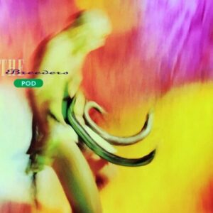 Screenshot 2024-03-11 at 13-32-10 The Breeders – Pod (New Vinyl)