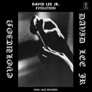 Screenshot 2024-03-11 at 14-24-48 David Lee – Evolution (LP) – Soundohm