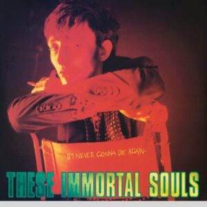 Screenshot 2024-05-14 at 14-42-30 These Immortal Souls - I'm Never Gonna Die Again. Bleep
