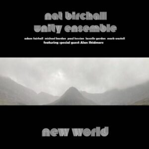 Screenshot 2024-05-14 at 15-14-10 Nat Birchall Unity Ensemble – New World (LP) – Soundohm