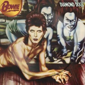 Screenshot 2024-05-16 at 15-09-49 David Bowie - Diamond Dogs 50th Anniversary (Picture Disc Preorder)