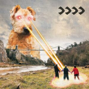 Screenshot 2024-06-17 at 13-13-34 Beak - (Transparent Red Vinyl)