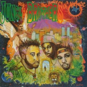 Screenshot 2024-07-08 at 13-17-17 Jungle Brothers - Done By The Forces Of Nature (2xLP - Tri-Color Vinyl