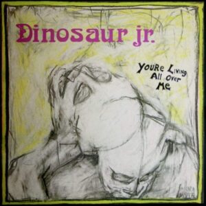Screenshot 2024-07-29 at 11-25-56 Dinosaur Jr. - You're Living All Over Me (Vinyl) - Pop Music