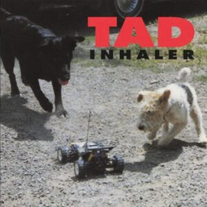 Screenshot 2024-08-17 at 10-11-09 Tad - Inhaler (LP Magenta) — Coma Records