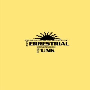Screenshot 2024-08-22 at 14-49-36 System Exclusive - Summertime EP – Terrestrial Funk
