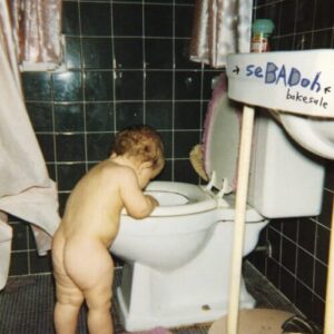 Screenshot 2024-08-30 at 15-34-44 Sebadoh - Bakesale LP (Silver-Metallic Vinyl) – Beat Street Records