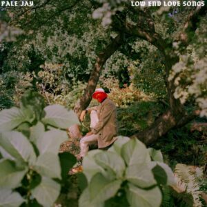 Screenshot 2024-09-12 at 14-16-54 Pale Jay - Low End Love Songs (Storm Cloud Grey Vinyl) - Pop Music