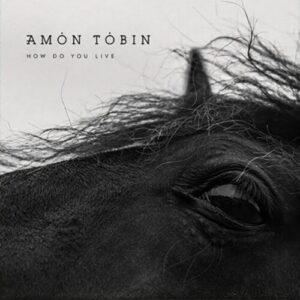 Screenshot 2024-09-30 at 15-28-38 2LP - Amon Tobin - How Do You Live – Encore Records Ltd