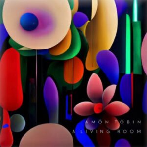 Screenshot 2024-09-30 at 15-34-41 A Living Room (Music from Meow Wolf's Omega Mart) – Vinyl Campaign Amon Tobin
