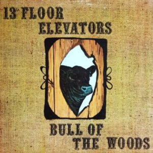 Screenshot 2024-10-11 at 12-32-30 13th Floor Elevators - Bull Of The Woods (RSD) White Vinyl - Pop Music