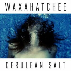 Screenshot 2024-10-22 at 14-19-37 Waxahatchee _ Cerulean Salt (Indie Exclusive Purple Pinwheel Variant) - Dead Dog Records